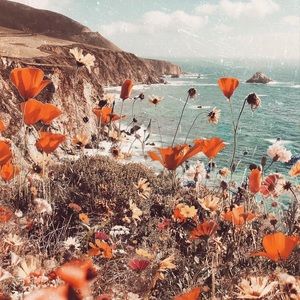 Meet your Posher, Jane